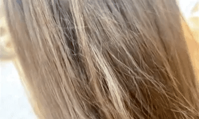 HaarMony 3 in 1 Frizz Remover - Professionelle Glättungsbürste